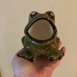 Vintage Ceramic Frog Sponge Holder