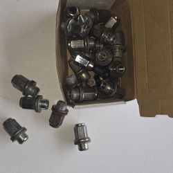 Lug Nuts 