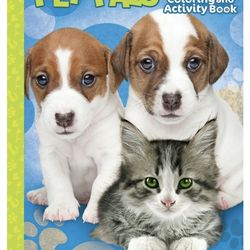 Disney Princess Belle Custom Made Easter Basket