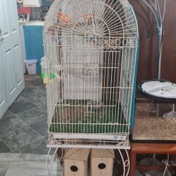 Bird Cage For Sale