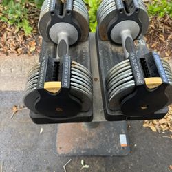 Gold Gym Adjustable Dumbbells With Stand 