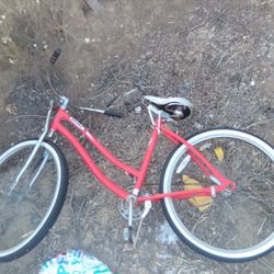 Valiant Beach Cruzer