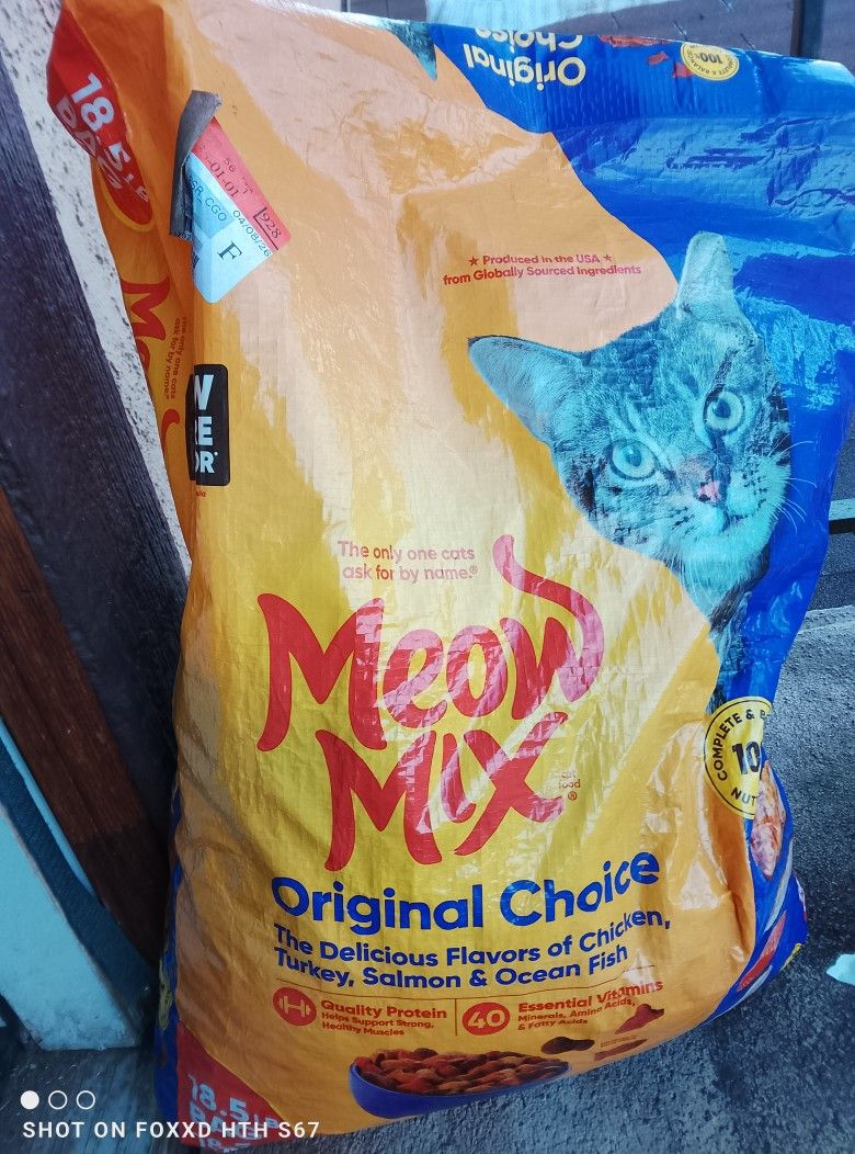 Cat Food