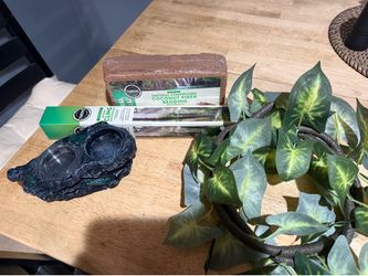 Tropical gecko decor and supplies!