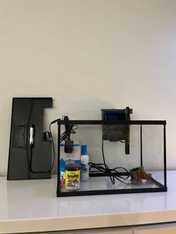 5 gallon starter fish tank