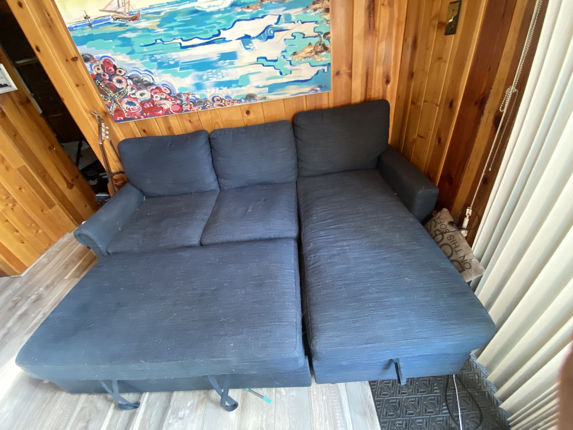 Couch/ Day Bed