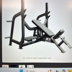 Anarchy Olympic Incline Chest Press