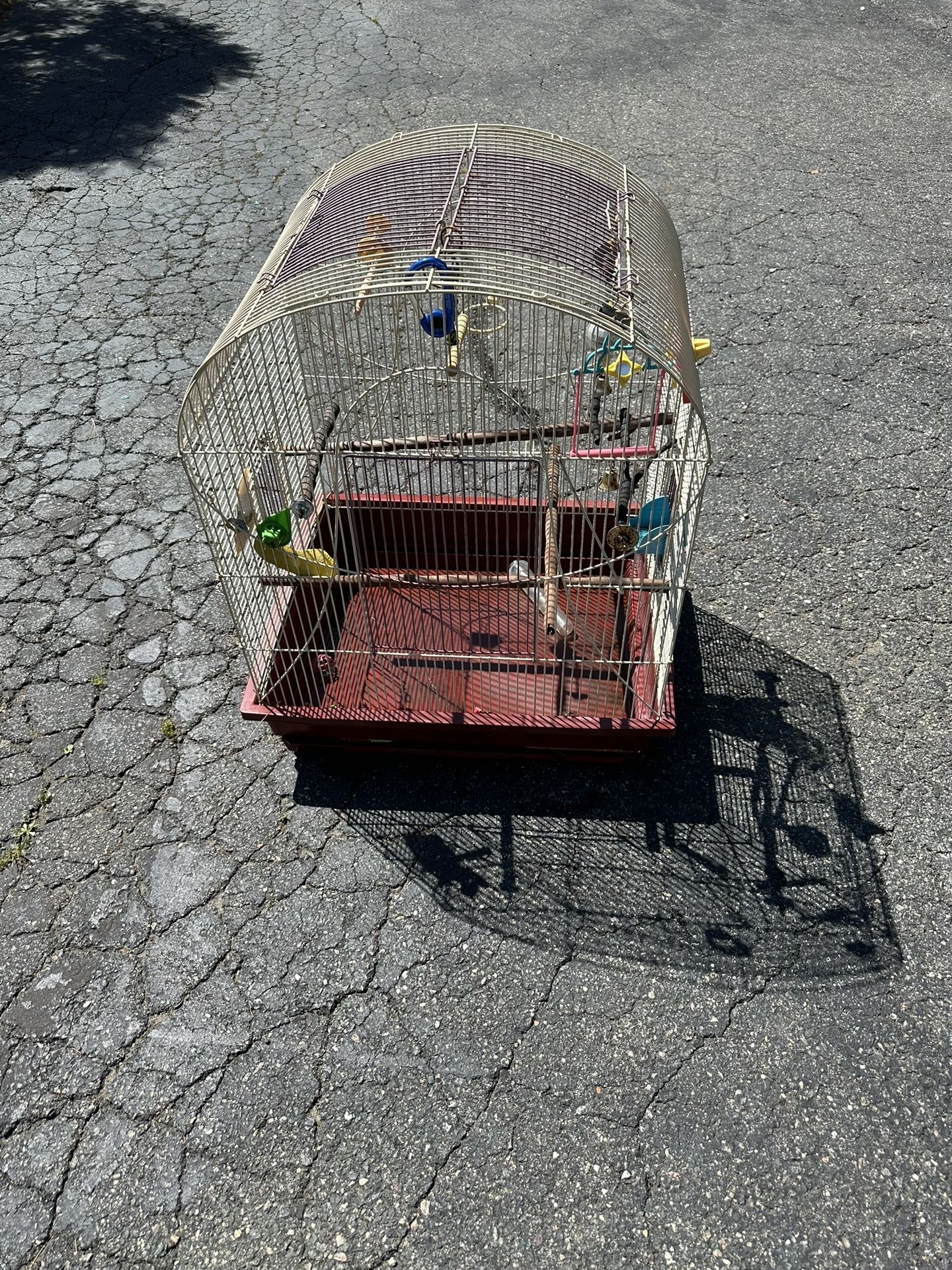Bird Cage