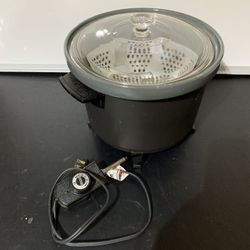 Electric Steamer W/Glass Lid 