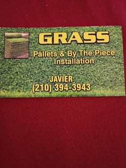 Grass sale
