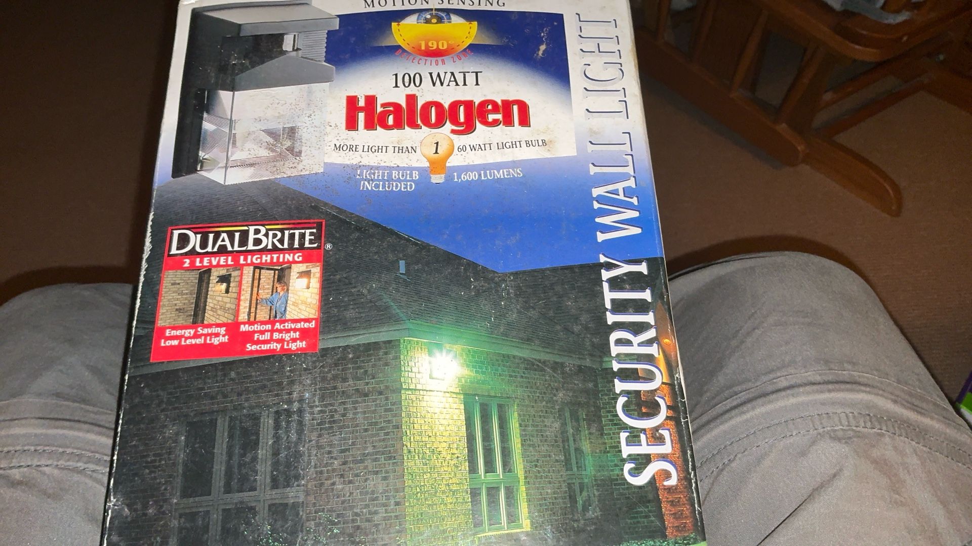 Wall Security Light