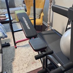 Full Body Workout Bench
