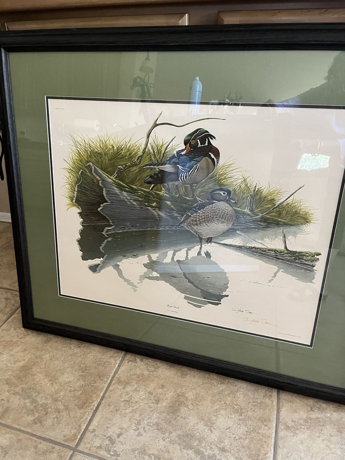 Wood Duck Original Lithograph Framed Print By Sloan Wade. Collectible Vintage