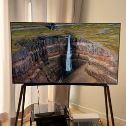 LG 65" G2 OLED TV + Gallery Stand