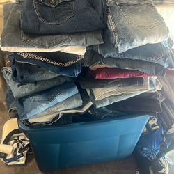 Jeans of all brands 