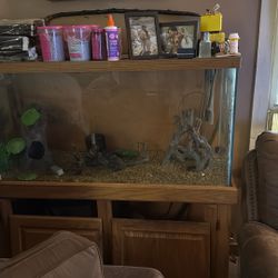 150 Gallon Fish Tank