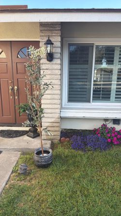 Olive tree with pot artificial