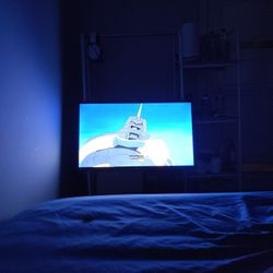 32 Inch Roku Tv