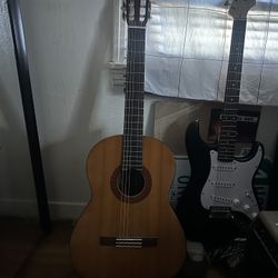 Acoustic Guitar