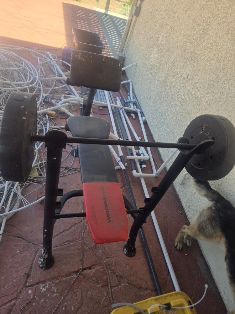Workout Bench