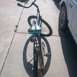 Phat Cycles Beach Cruiser 