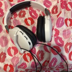 Turtle Beachs