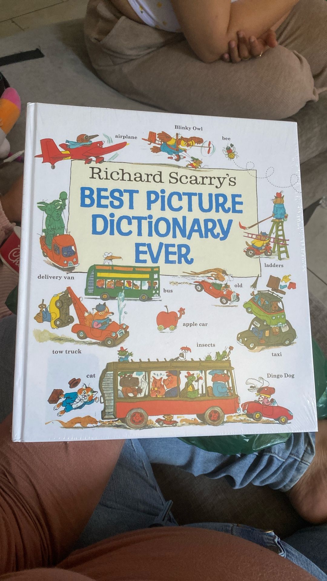 Picture Dictionary