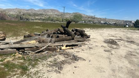 I Have Lots Of Telephone Poles Some Kind Som Short