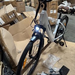 Electric bike