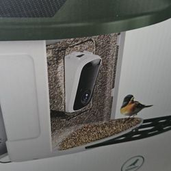 New Bird Feeder With Camera Solar Panel Control By App
