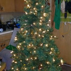 6 Feet High Christmas Tree 