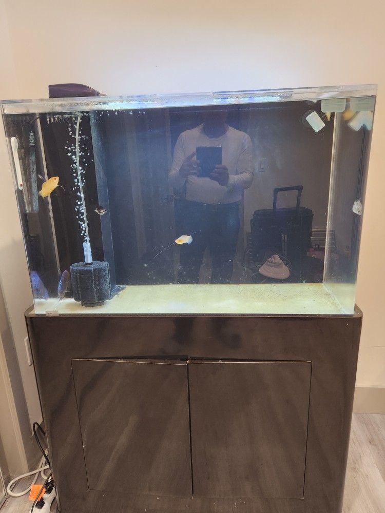 60 Gallon Acrylic Tank