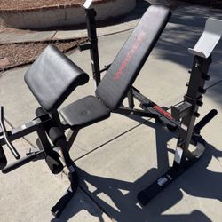 Weight Bench, Bench Press, Squat Rack, Curls