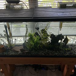 55g Tank And Stand