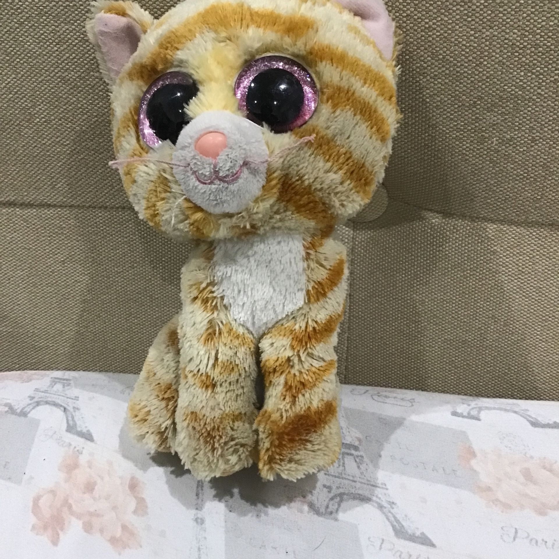 Yellow and brown beanie boo cat