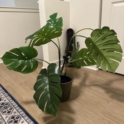 Fejka Plant With Pot