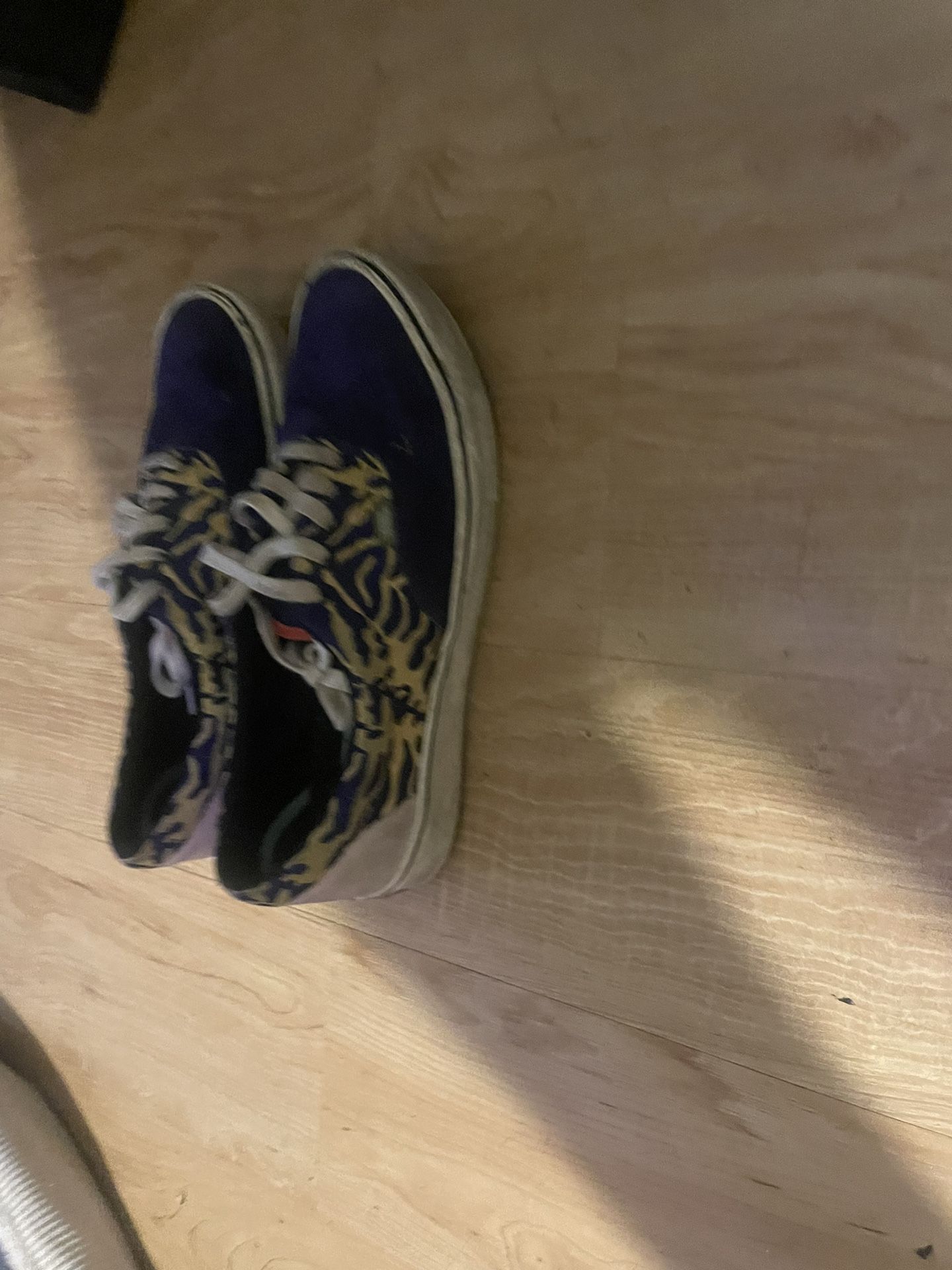 Vans Men’s Shoes