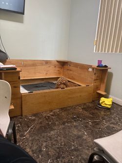 Welbing box Goldendoodle
