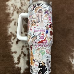 Taylor Swift Stanley Like Cup 