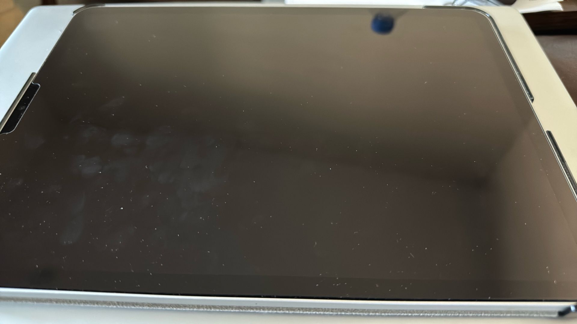 iPad Pro 11 Inch 256GB WiFi + Cellular