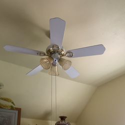 2 Working Ceiling Fans With Light Kit