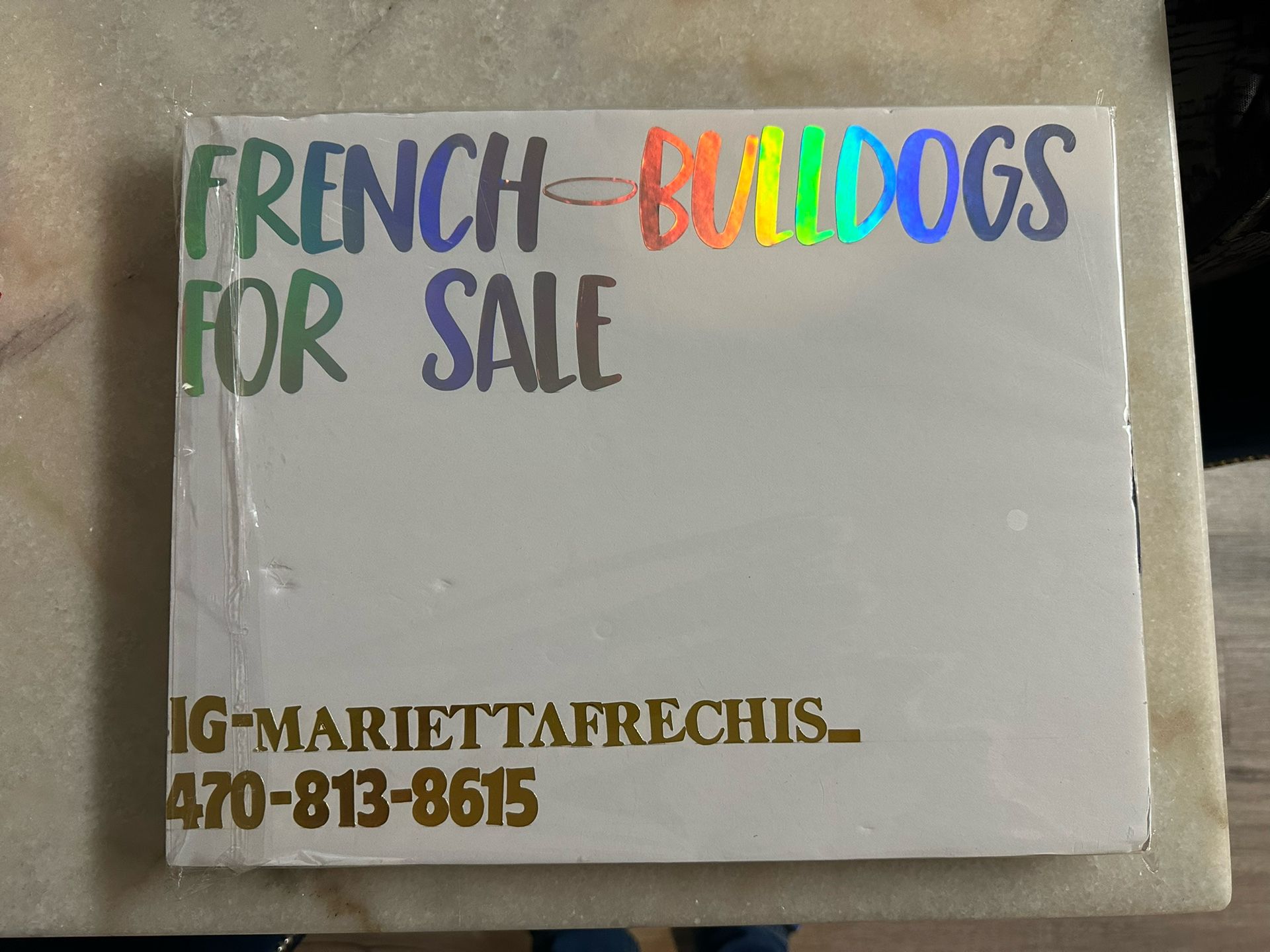 Dog Supply