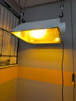 Grow Light