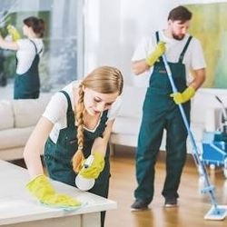 Need Help Cleaning Here To Help