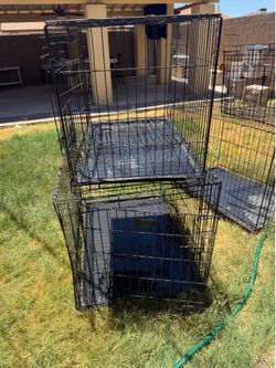 Dog kennels