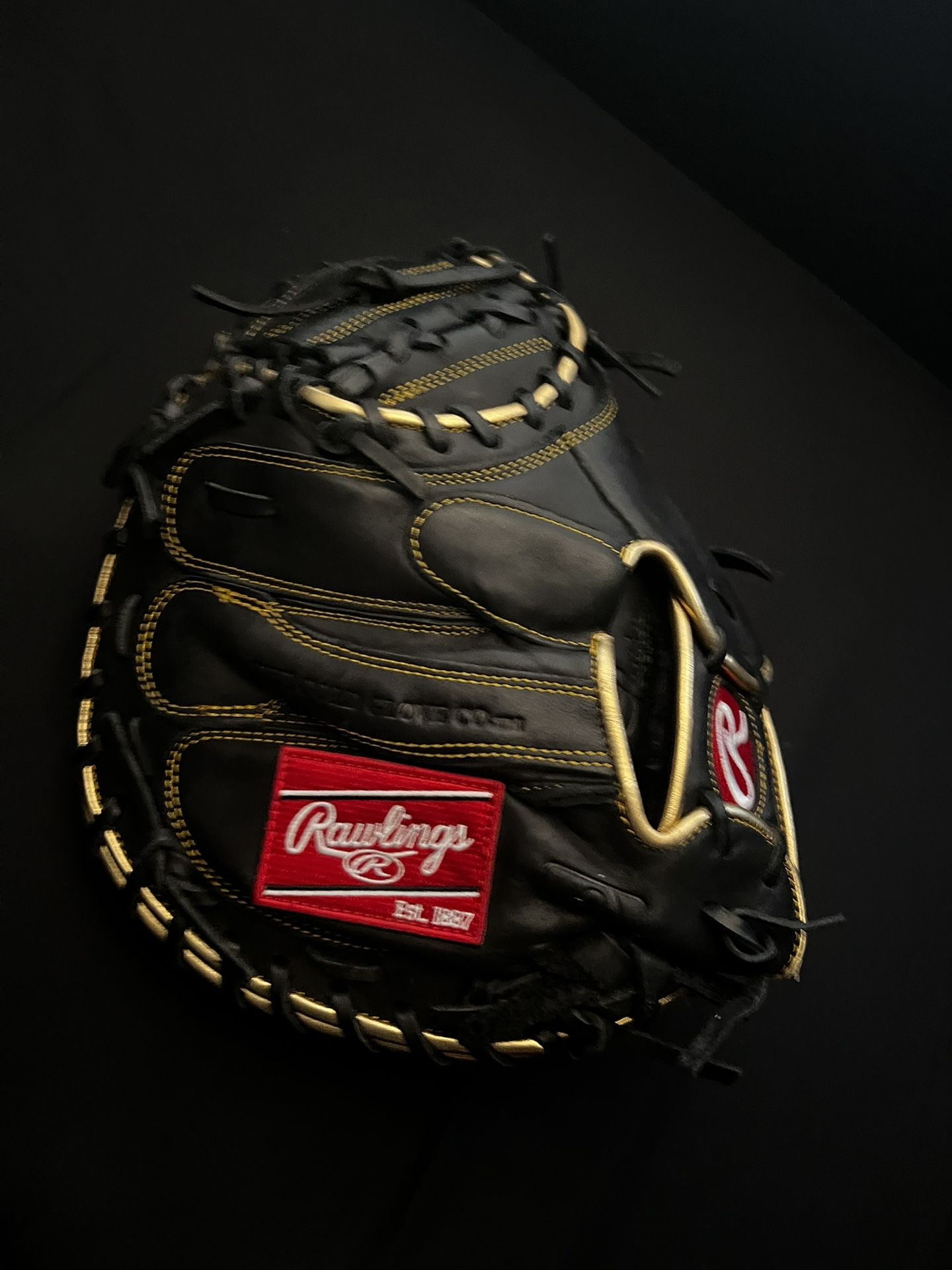 Catchers Glove