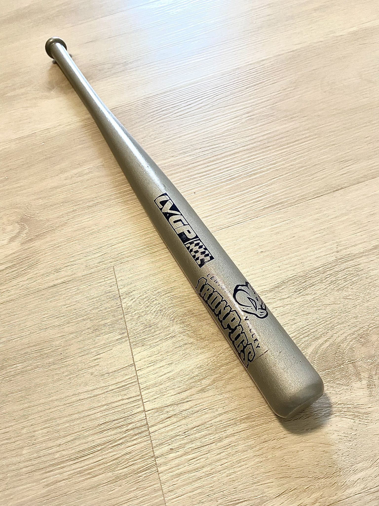 Lehigh Valley Iron Pigs Mini Baseball Bat