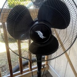 Fan 