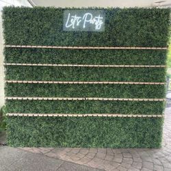 FOR SALE - Champagne Wall for Weddings / Showers - FOR SALE