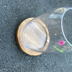 Large Glass Vase (terrarium) 